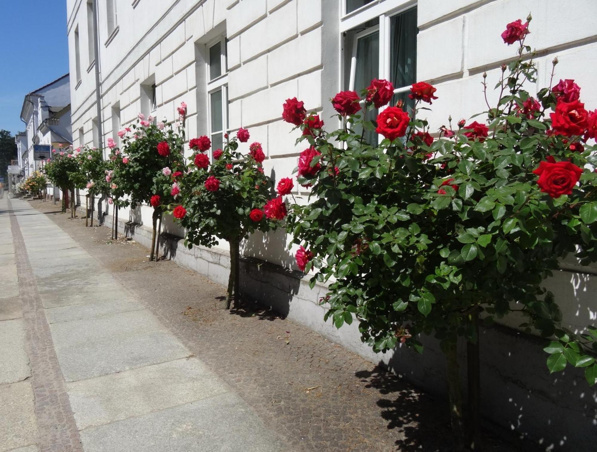 Appartement Meeresrauschen Baabe Exterior foto